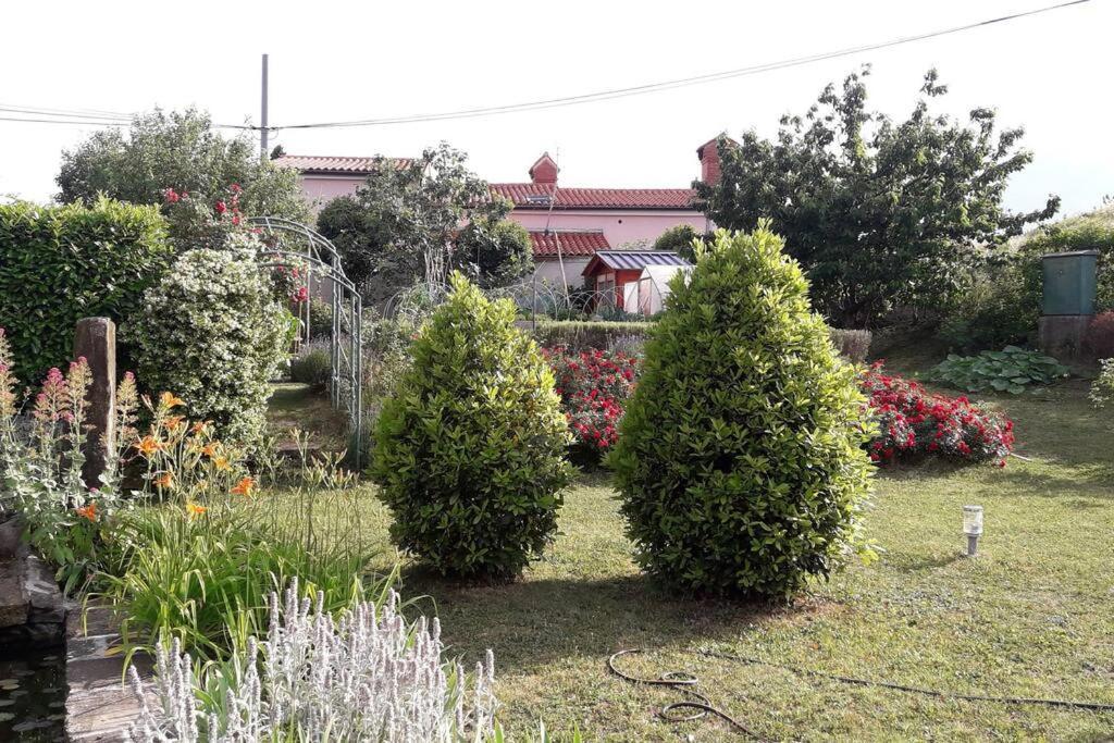 Apartma Oljka Pomjan Šmarje Exterior foto